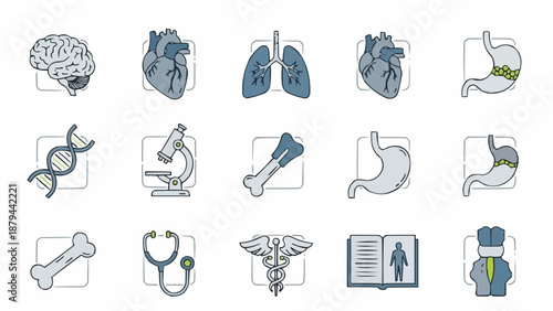 Medical Icons Set Human Anatomy Organs And Science Symbols.