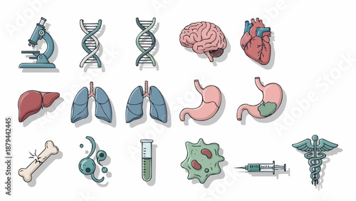 Medical science and human anatomy icons collection.