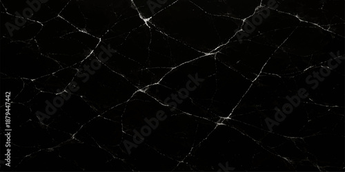 A macro black and white texture reveals a spiderweb covered in morning dew drops, forming a natural network pattern and an intricate insect trap in nature