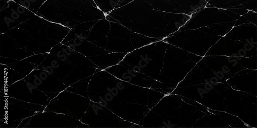 A dark macro closeup of a seamless black leather texture highlights a grunge material surface with a natural skin pattern resembling a delicate spider web backdrop