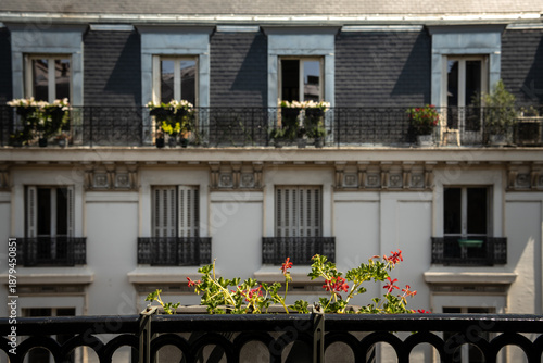 Foto Balcony Flowers Facing a Parisian Residential Building