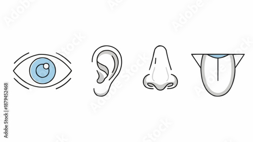 Human Senses Icons Representing Sight Hearing Smell Taste.