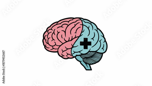 Illustration of human brain divided into two hemispheres with a plus sign.