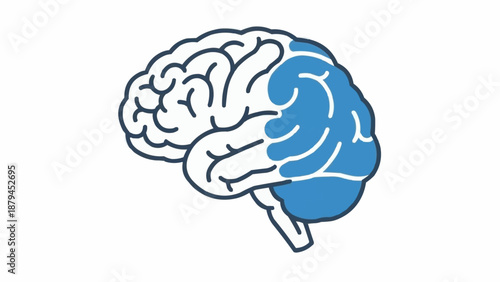 Illustration of human brain with highlighted frontal lobe area.