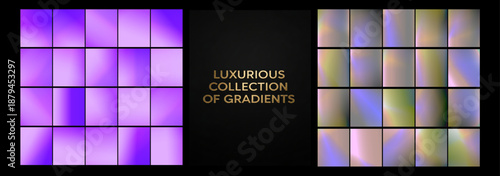 Array of gentle violet gradient bars surrounding a dark decorative insert, evoking creativity and calm for beauty branding, lifestyle blogs, or elegant event designs.	
