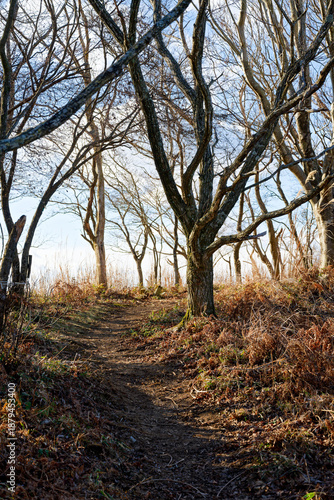 るり渓深山ハイキングコース