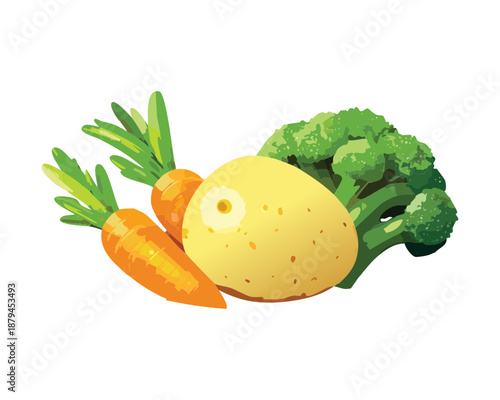 Collection of fresh organic vegetables including potatoes carrots and broccoli for healthy lifestyle and cooking - Vector Illustration