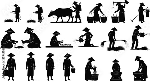 Traditional Asian Farmer Silhouette Collection Featuring Rice Planting Harvesting Buffalo Plowing Irrigation and Rural Agricultural Workers in Conical Hats for Organic Farming Vector Graphic Design