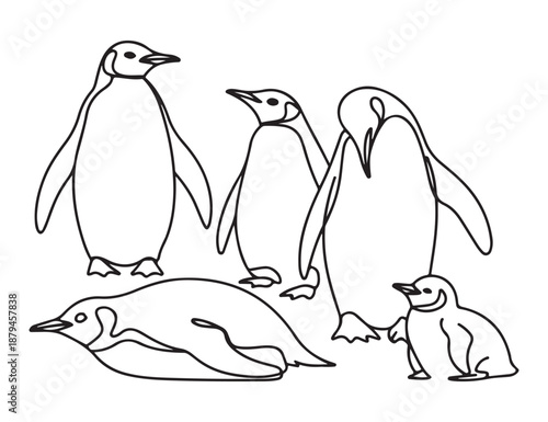 Penguin vector illustration, Cute antarctic bird outline, Penguin line art vector, black and white animal design.