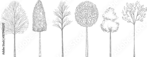Collection of six distinct hand-drawn botanical showcasing diverse tree silhouettes and foliage textures in a minimalist grey line style on a white background