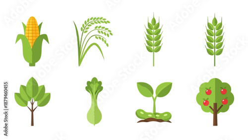 Collection of Diverse Agricultural Plants and Food Crops in a Modern Flat Design Style