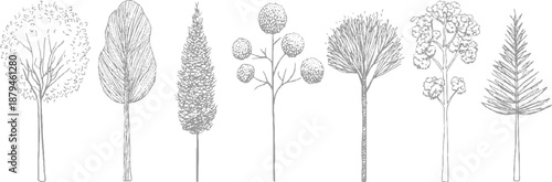 A group of seven hand-drawn tree in grey, presenting a diverse array of arboreal shapes and detailed textures artistic endeavors
