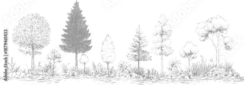 A whimsical hand-drawn forest panorama showcasing a variety of stylized trees and lush undergrowth, presented in a monochromatic style for a naturalistic artistic effect