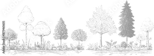 Monochrome line featuring an assortment of trees and undergrowth, meticulously detailed with stippling and fine lines