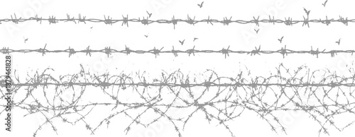 Multiple strands of barbed wire, some tangled and distressed, with small birds flying above, creating a stark and symbolic visual of confinement and freedom