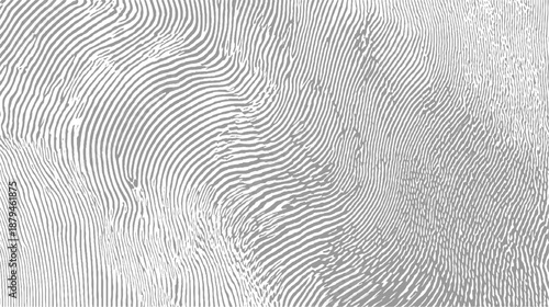 Close-up abstract texture of swirling grey lines on a white background forming a unique organic pattern with intricate details