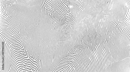 Dense, intricate abstract pattern of grey and white irregular wavy lines creating a complex organic texture with a tactile feel