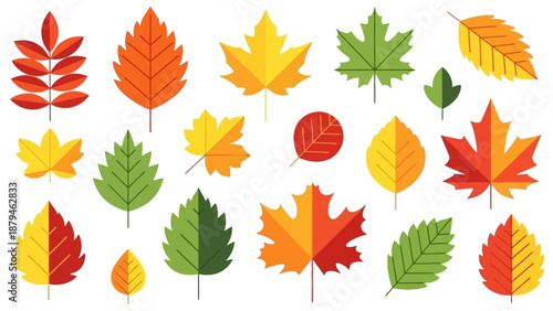 Colorful Autumn Leaves Collection: Maple, Oak, and Rowan - Vector Art