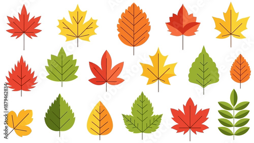 Collection of Autumn Leaves in Various Colors and Shapes, Autumn Season Illustration