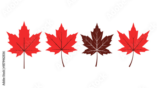 Four Maple Leaves Illustration: Three Red and One Brown on White Background