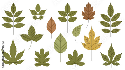 Collection of Stylized Autumn and Summer Leaves with Simple Geometric Design Elements