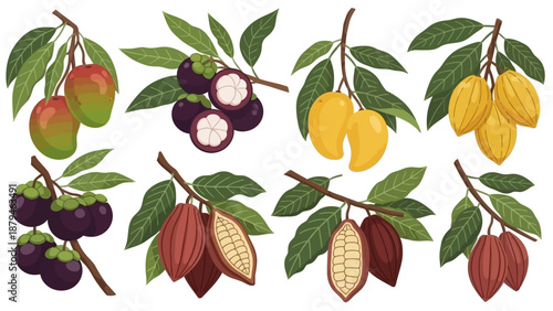 Assortment of Exotic Fruits and Cacao Pods on Branches with Leaves