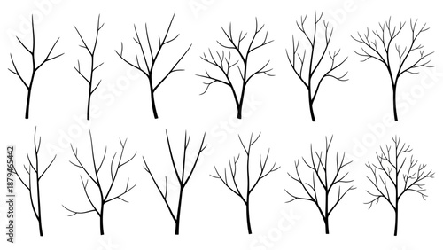 Collection of bare tree branches, isolated silhouettes in a clean, minimalist style