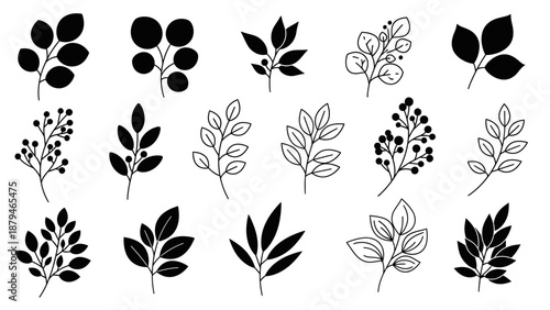 Collection of stylized botanical elements and leaf sprigs for graphic design