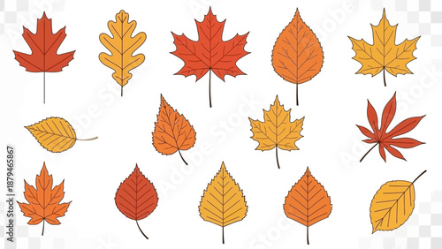 Collection of Autumn Leaves in Various Shapes and Colors, Vector Illustration