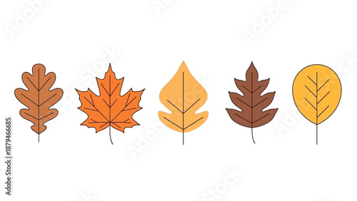 Collection of Autumn Leaves in Various Shapes and Warm Colors, Vector Illustration