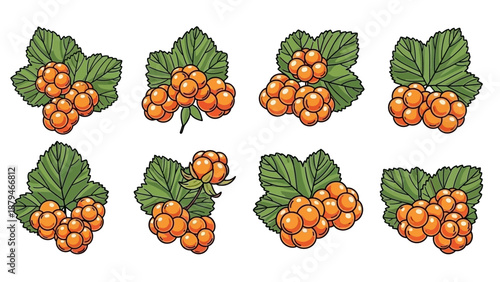 Collection of Orange Cloudberries with Green Leaves, Isolated on White Background