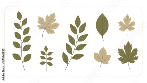 Collection of Autumn Leaves and Branches in Earth Tones for Design