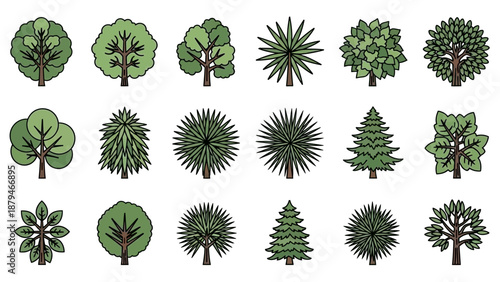 Set of Stylized Tree Illustrations from Top and Side Views, Graphic Design Elements