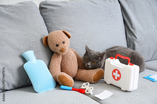 Cute British cat with first...