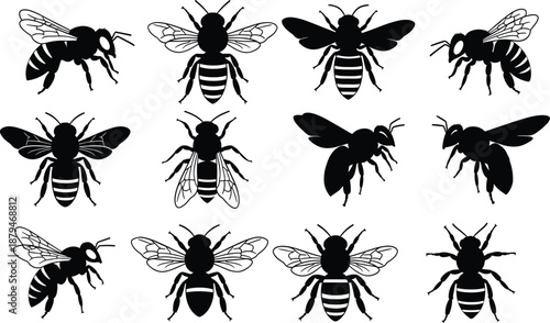 Stylized Black and White Honey Bee and Bumblebee Silhouettes Vector Set for Nature, Ecology, Pollination, and Beekeeping Design Elements and Logos, Isolated on White.