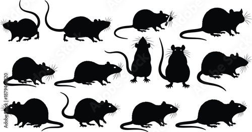 Stylized Black Rat and Mouse Silhouettes Vector Set in Various Poses for Pest Control, Rodent, Laboratory Animal, and Mammal Wildlife Designs.