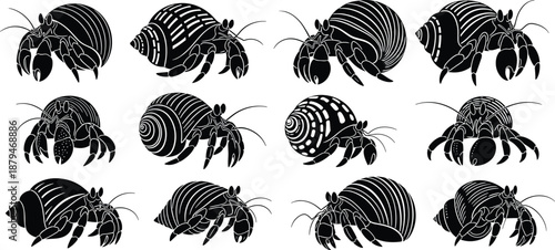 Stylized Hermit Crab Silhouettes with Unique Shell Patterns in Black and White for Marine Design and Educational Illustration