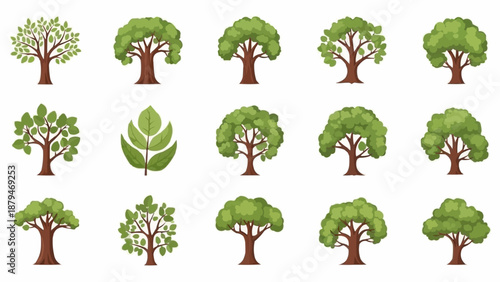Collection of various green trees and leaves illustrations.