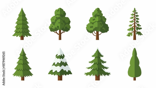Collection of various green trees and pine trees.