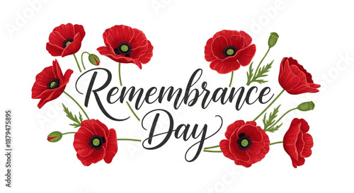 A beautiful illustration featuring red poppy flowers with green stems and leaves, encircling the elegant calligraphic text 'Remembrance Day' on a clean white background.