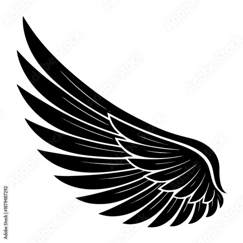 Silhouette Wing Primary Feathers Cut Off Straight Line Captivity Limitation Grounded Potential