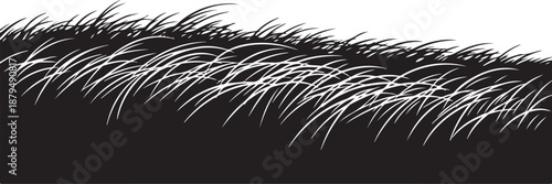 Close-up of black and white animal fur texture detail