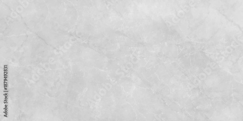 Light gray grunge seamless marble texture with soft white veining and subtle crack, realistic natural stone surface, smooth polished background. gray painted cement wall texture. white marble texture.