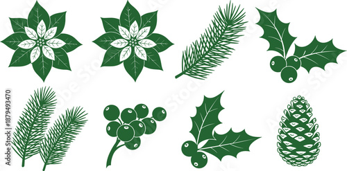 Christmas botanical elements set with poinsettia, holly, mistletoe, pine branches and evergreen foliage, festive winter vector illustration icons green