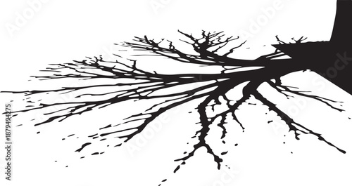 Black silhouette of tree branches on white background illustration