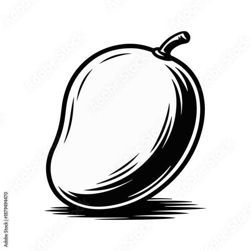 Mango Sketch Vector Illustration of Fresh Tropical Fruit Line Art