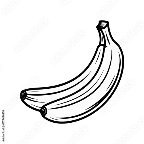 Banana Sketch Vector Illustration of Fresh Tropical Fruit Bunch Line Art