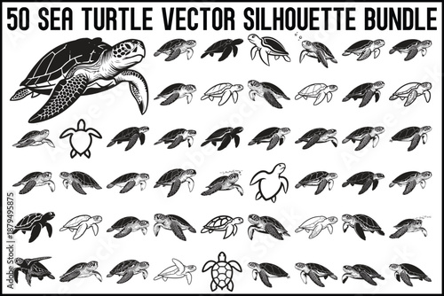 50 Sea Turtle Vector Silhouette Bundle