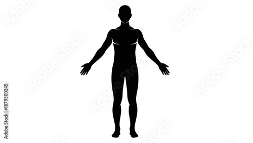 Silhouette of a Human Body Front View Isolated on White Background with Arms Outstretched