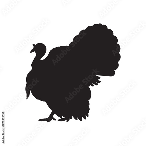 Turkey bird silhouette vector illustration design on white background.

